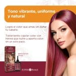 Tintura de pelo Henna Crema Surya Brasil Rubio Oscuro Rojizo - Imagen 2