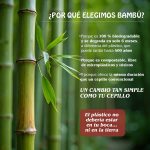 Cepillo de Dientes Bambú Natural Turquesa - Imagen 6
