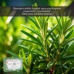 Shampoo Sólido Romero Tea Tree 100 g - Imagen 2