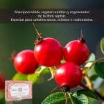 Shampoo Sólido de Rosas y Rosa Mosqueta 100 g - Imagen 2