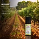 Bio Desodorante Roll On Oliva Bambú - Imagen 4
