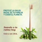 Cepillo de dientes de Bambú natural Verde - Imagen 12