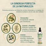 Repelente para Mosquitos Bio 150 ml - Imagen 5