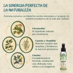Repelente para Mosquitos Bio 75 ml - Imagen 5